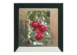 Kleinbild-Dia in Glasrahmen