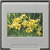 Kleinbild-Dia im Klapprahmen mit Glas