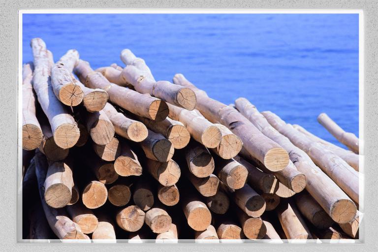 Vollformat-Scans Vergleich 90%